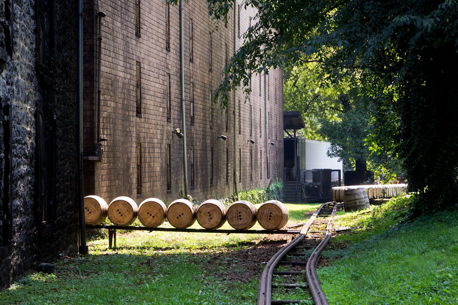 Bourbon Tourism Statistics and Facts: Kentucky (2026)