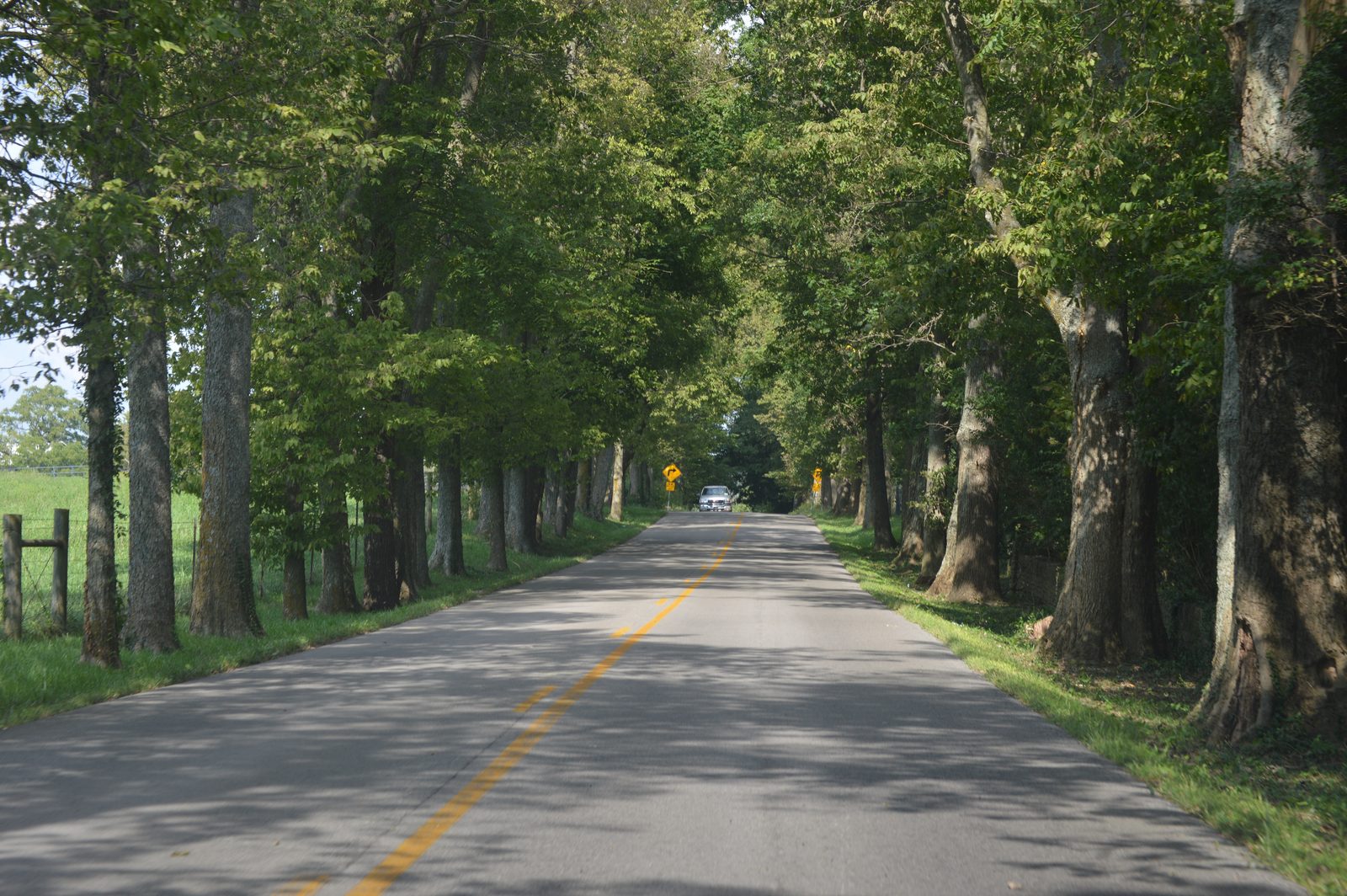 Bourbon Trail Transportation: Private Drivers, Party Buses and Rideshares Compared
